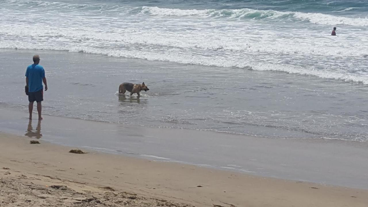إنسينادا Playa Hermosa Inn At The Beach المظهر الخارجي الصورة